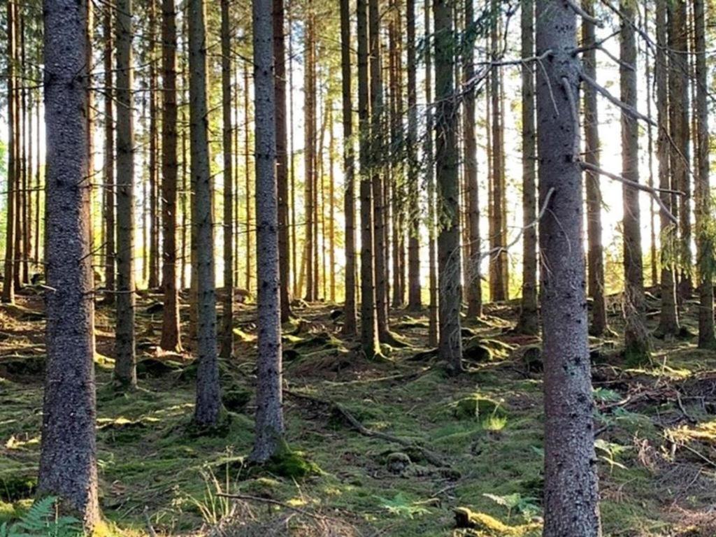 فيلا En Lantlig Idyll Med Skogen Precis Utanfoer Doerren! أولاريد المظهر الخارجي الصورة